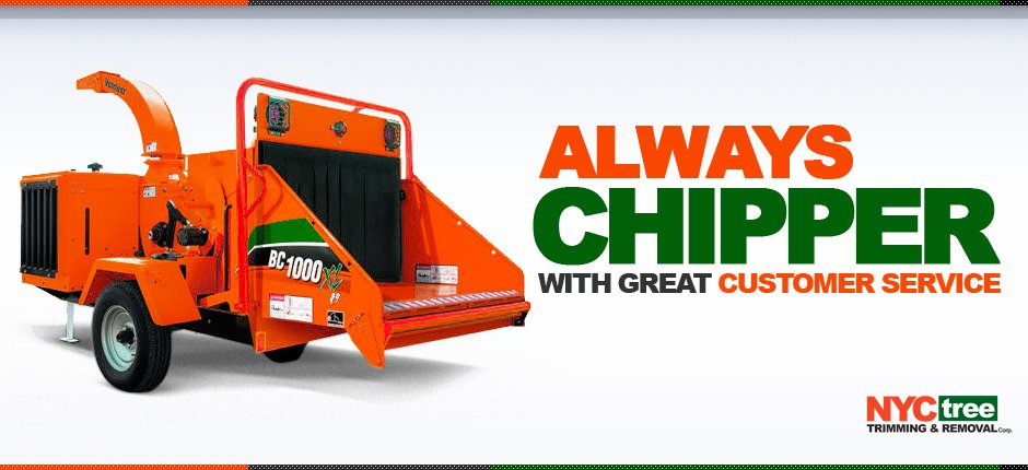 Tree Service Experts Service Team