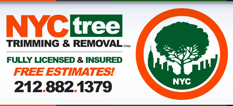 Tree Service Experts Dispatch Operations